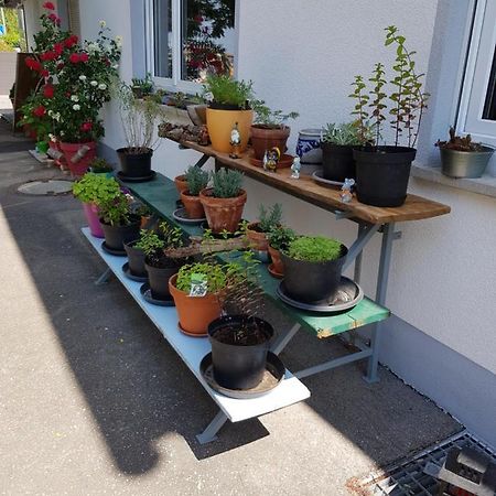 Ferienwohnung Namaste ลังเงนาร์เงน ภายนอก รูปภาพ